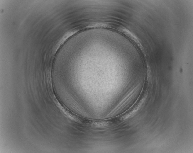 X0000074031041200609111709