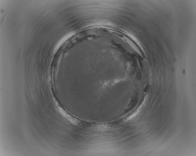 X0000074031042200609111709