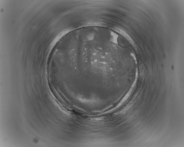 X0000074031043200609111709