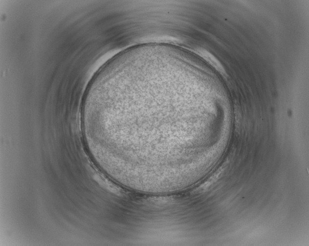 X0000074031044200609111709