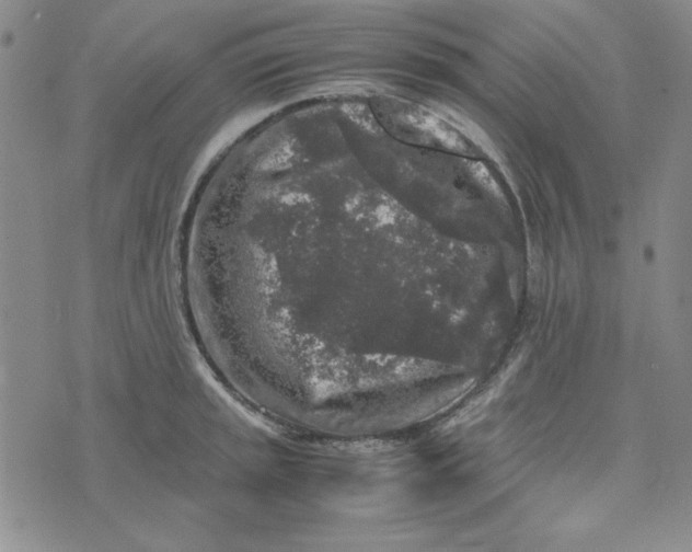 X0000074031045200609111709