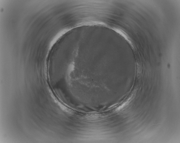 X0000074031046200609111709