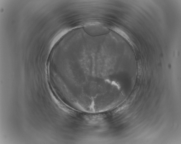 X0000074031047200609111709