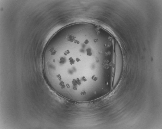 X0000074031048200609111709