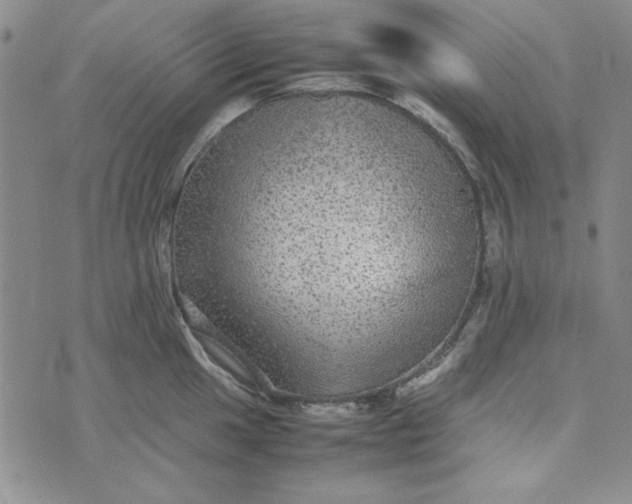 X0000074031049200609111709