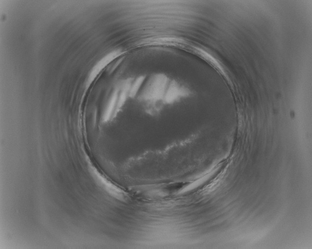 X0000074031050200609111709