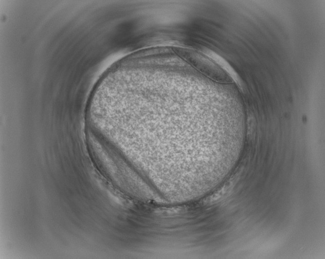 X0000074031051200609111709