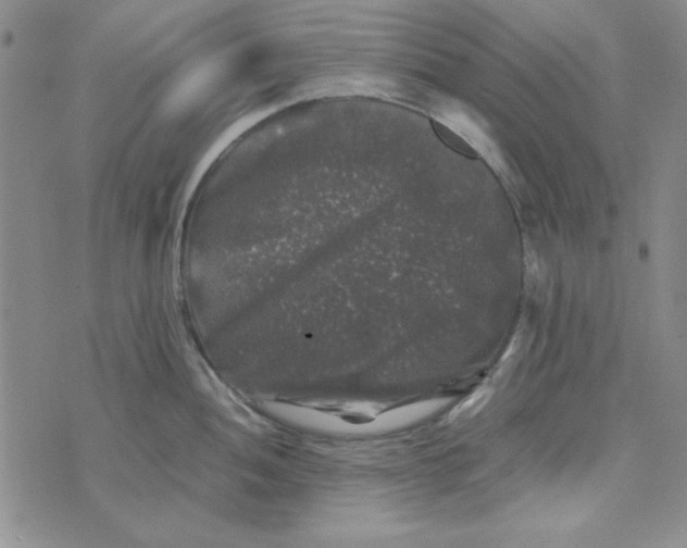 X0000074031052200609111709