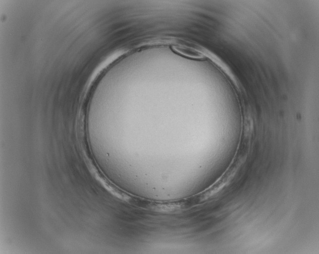 X0000074031053200609111709