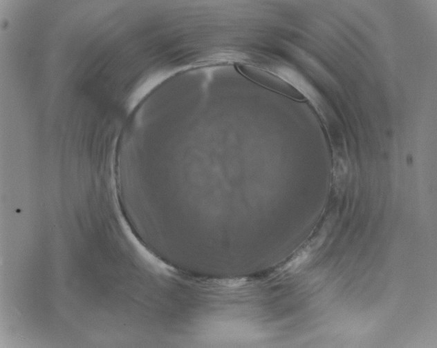 X0000074031055200609111709