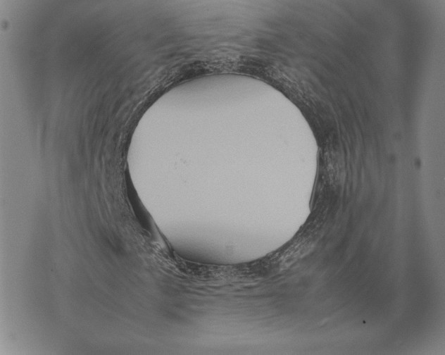 X0000074031057200609111708