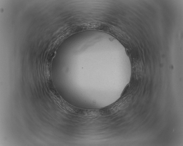 X0000074031058200609111708