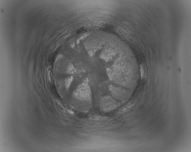 X0000074031059200609111708