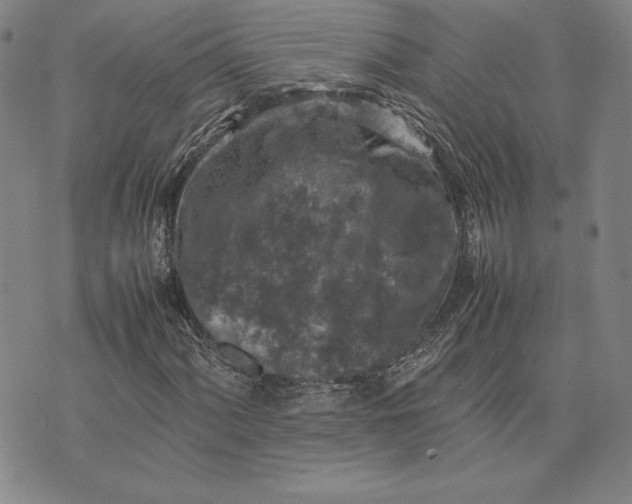 X0000074031060200609111708