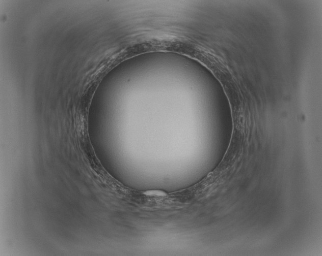 X0000074031061200609111708