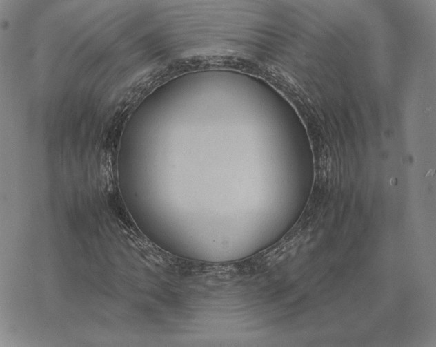 X0000074031062200609111708