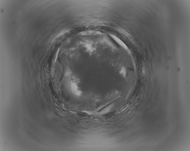 X0000074031063200609111708