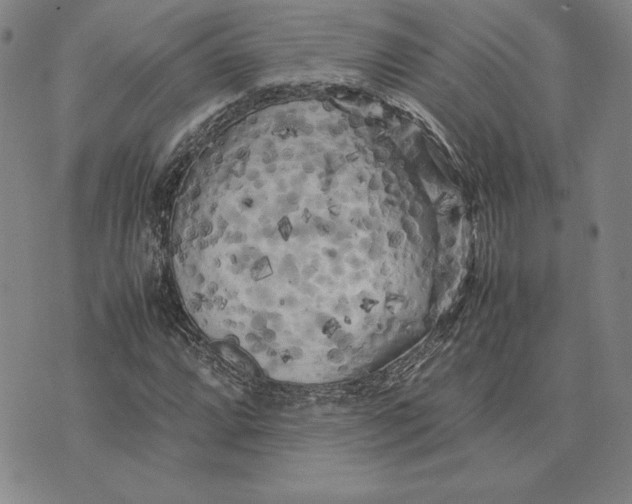 X0000074031064200609111708