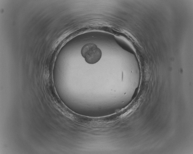 X0000074031065200609111708