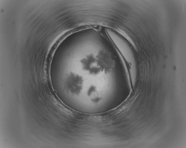 X0000074031068200609111708