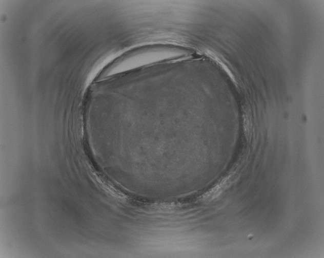 X0000074031069200609111708