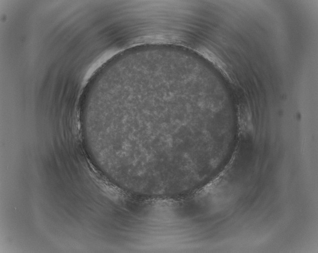 X0000074031070200609111708