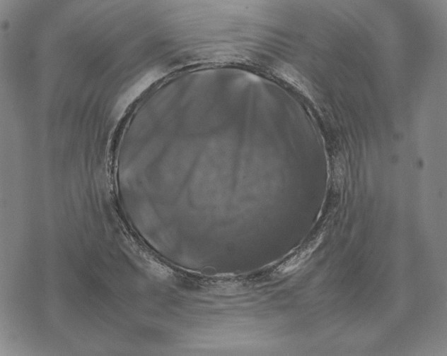 X0000074031071200609111708