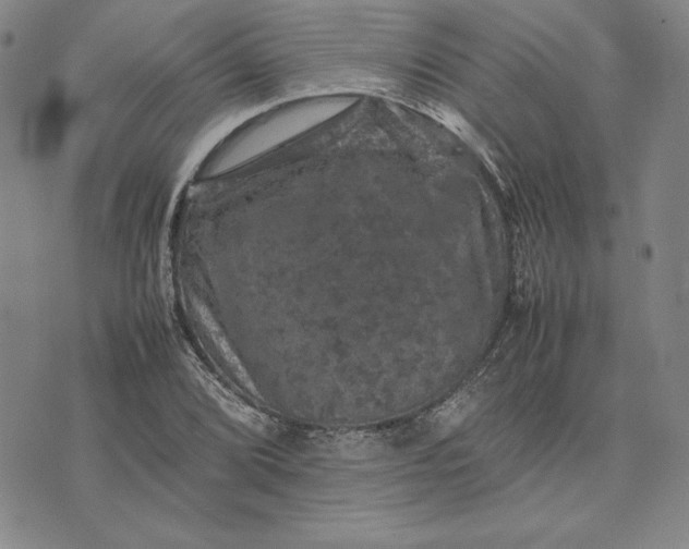 X0000074031072200609111708