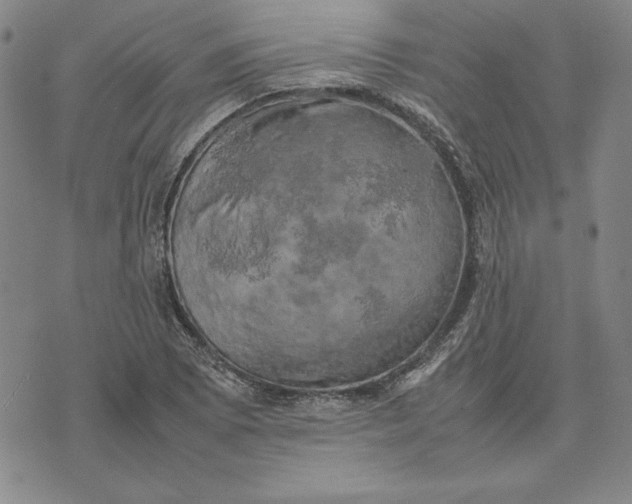 X0000074031073200609111708