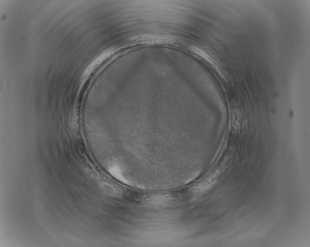 X0000074031074200609111708