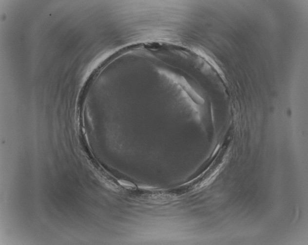 X0000074031077200609111708