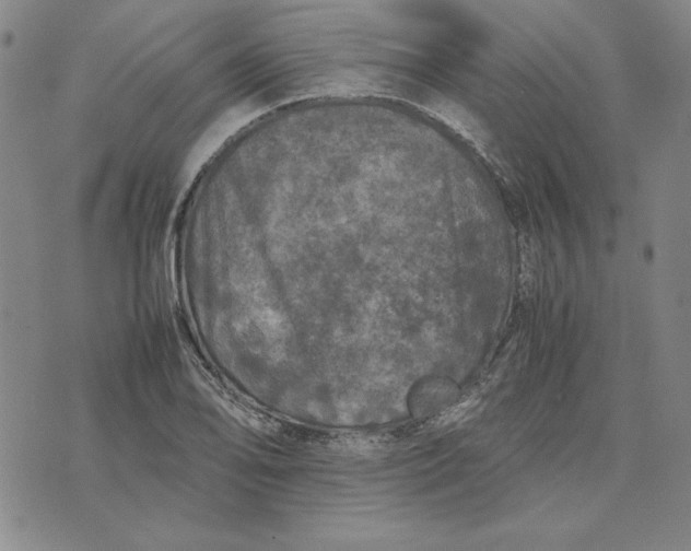 X0000074031078200609111708