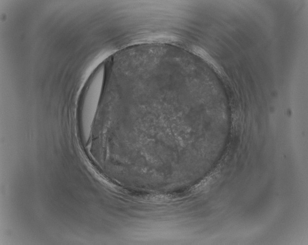 X0000074031079200609111708