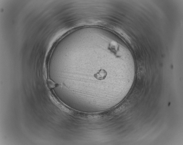 X0000074031080200609111708