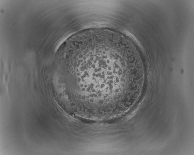 X0000074031081200609111708