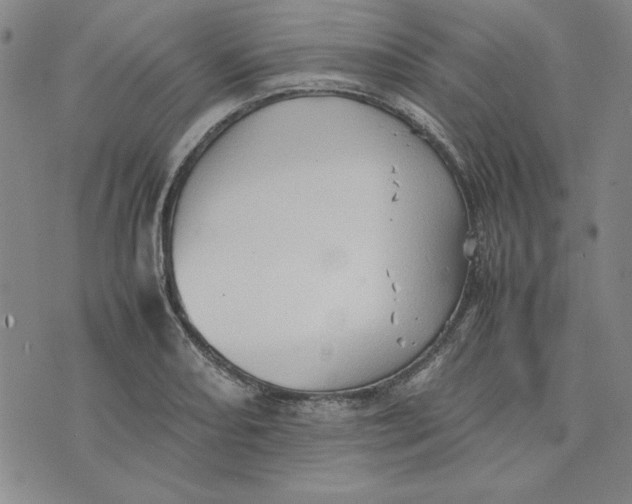 X0000074031082200609111708