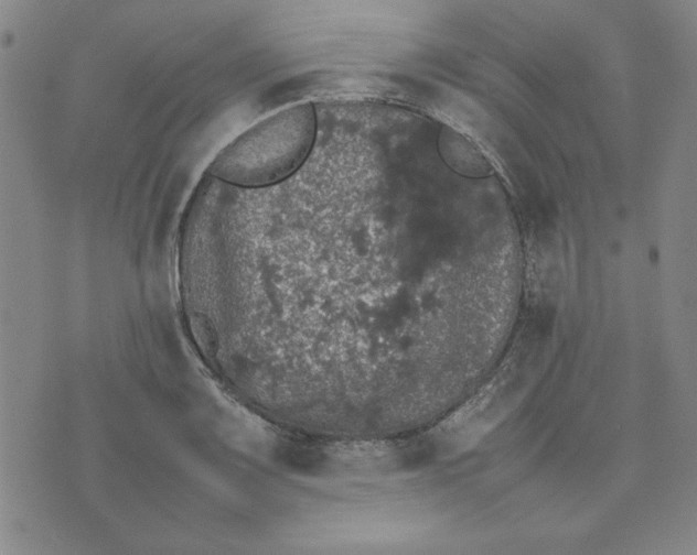 X0000074031083200609111708