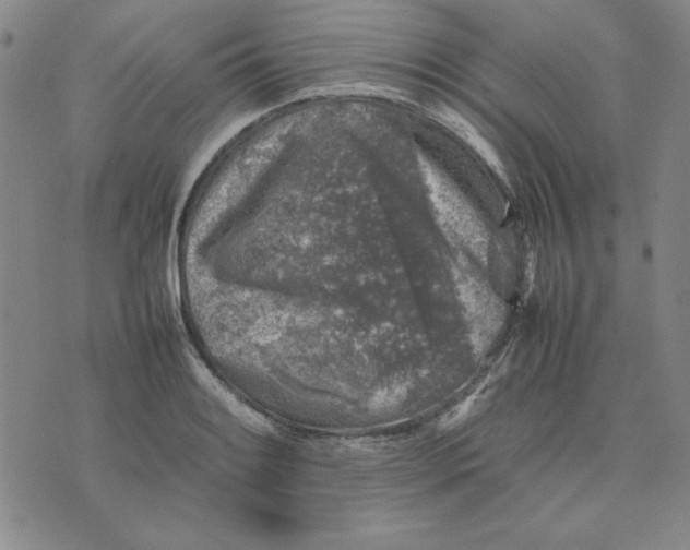 X0000074031084200609111708