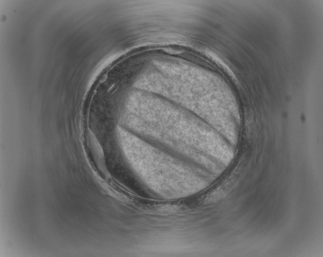 X0000074031085200609111708