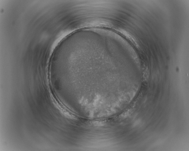 X0000074031086200609111708