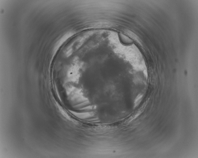 X0000074031087200609111708