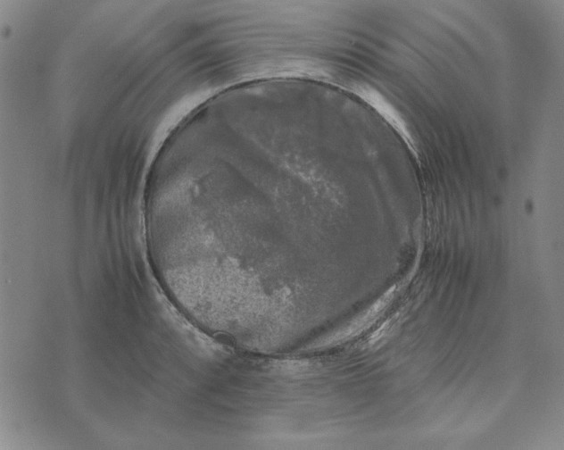 X0000074031088200609111708