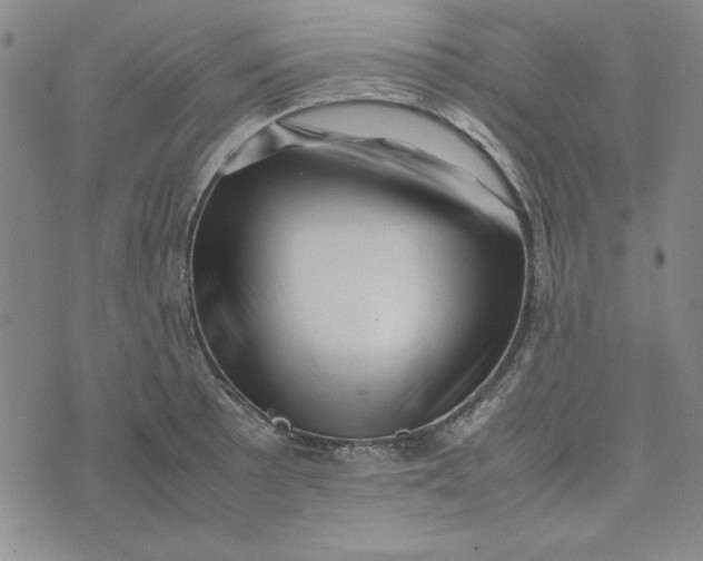 X0000074031089200609111708