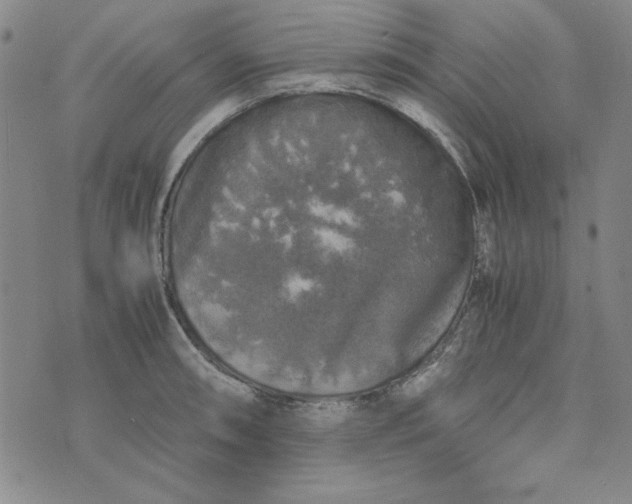 X0000074031090200609111708