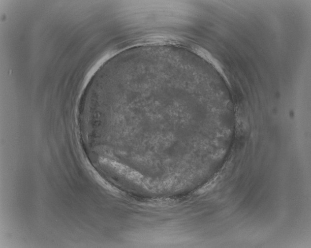 X0000074031091200609111708