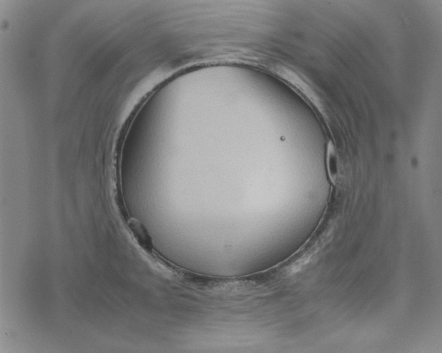 X0000074031093200609111708