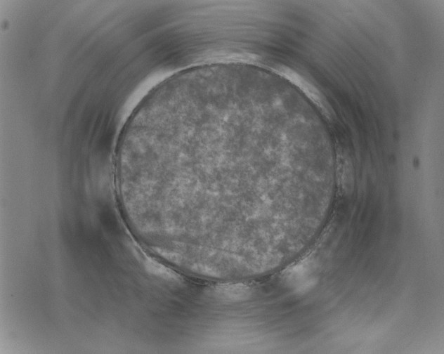 X0000074031094200609111707