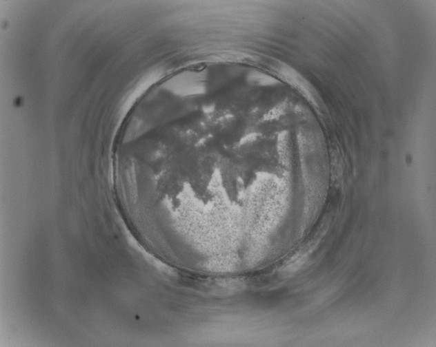 X0000074031095200609111707