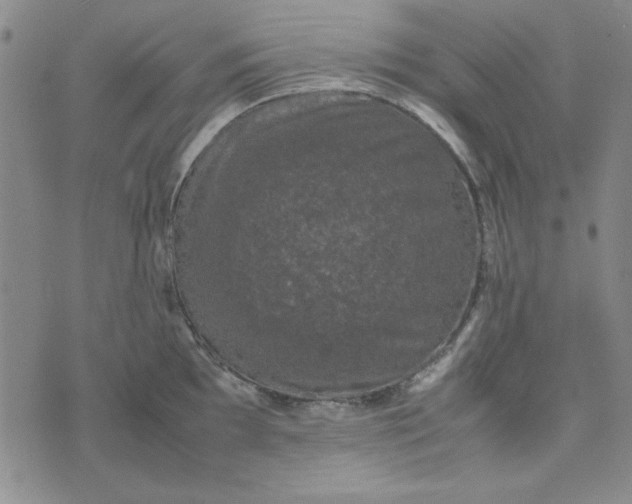 X0000074031097200609111707