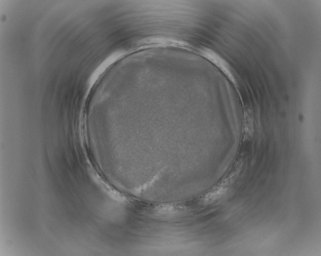 X0000074031098200609111707